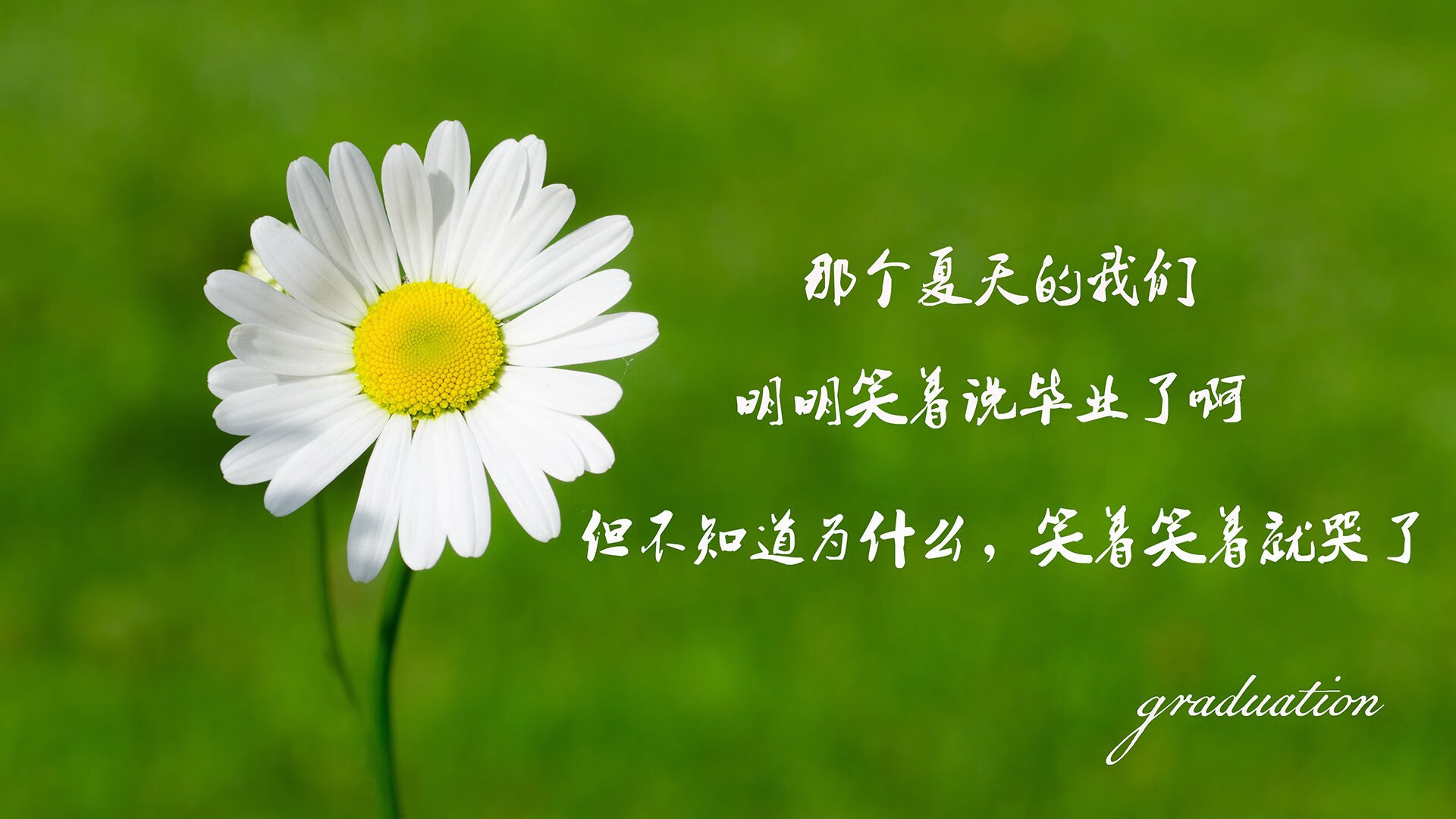 各种真丝面料的优缺点(9种常见的真丝面料)